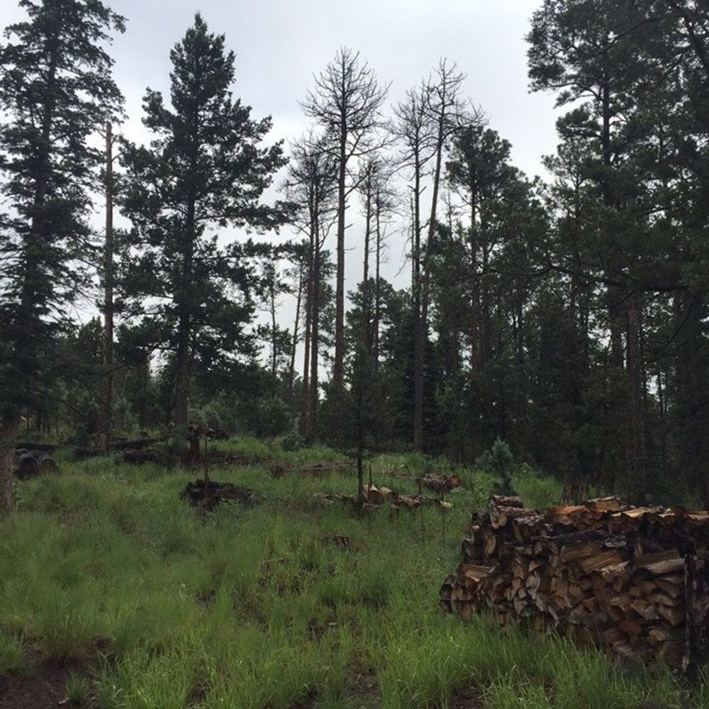 Meet your Posher, Enrique